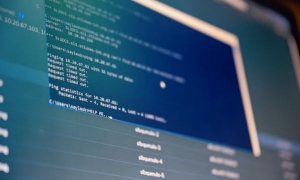 2024新西兰留学都是学渣