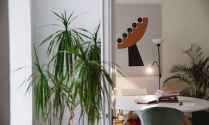 2024新西兰留学本科要求