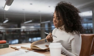 2024新西兰留学陪读条件