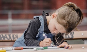 2024新西兰留学移民费用