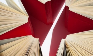 2024新西兰留学能找到工作吗