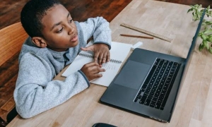 2024新西兰留学申请条件有哪些