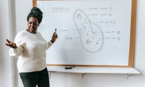 2024新西兰留学申请攻略大全