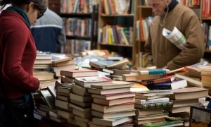 2024新西兰留学本科需要什么条件