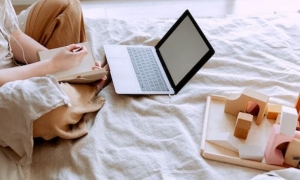 2024新西兰留学的申请条件