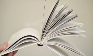 2024新西兰留学专业选择