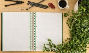 2024如何才能去新西兰留学