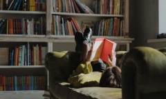 新西兰留学哪里好