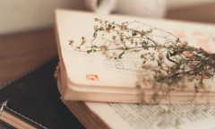 新西兰留学费用浅析