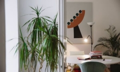 5岁就可以到新西兰留学