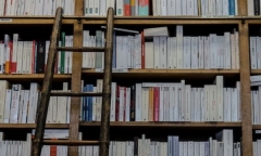 到新西兰留学费用要多少