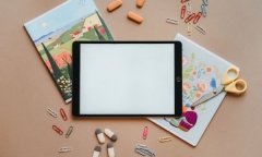 高中生新西兰留学费用高吗