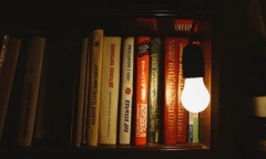 去新西兰留学商科有哪些专业