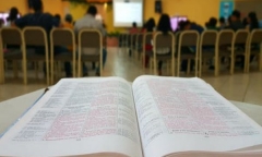 去新西兰留学学什么专业好