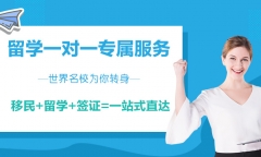 去新西兰留学读IT专业