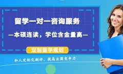 去新西兰留学读什么专业好