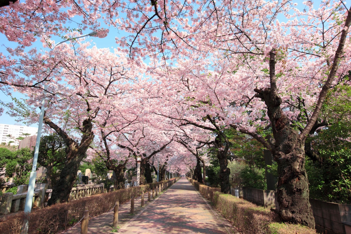 日本街道壁纸高清_日本街道高清壁纸_微信公众号文章
