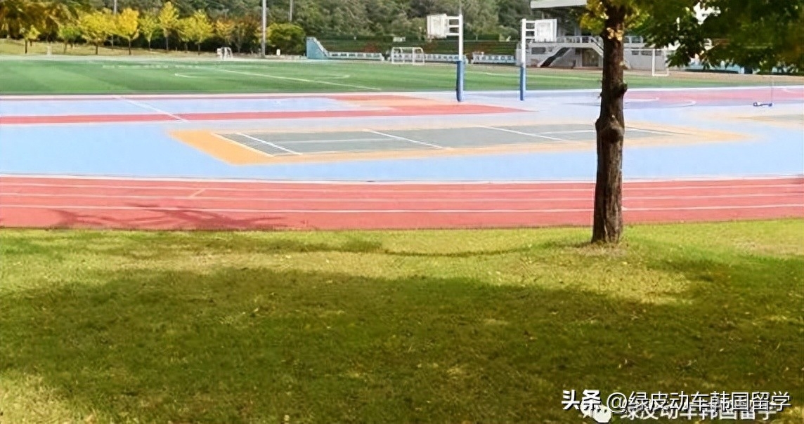 留学博士哪个国家性价比高,三所无语言要求的博士院校推荐(图2)