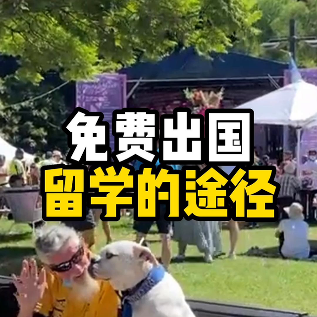 免费留学的途径你还不知道吗？#海外生活