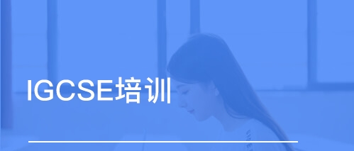 小孩多少岁送去留学好,小学和初中阶段留学的不同全解(图3)