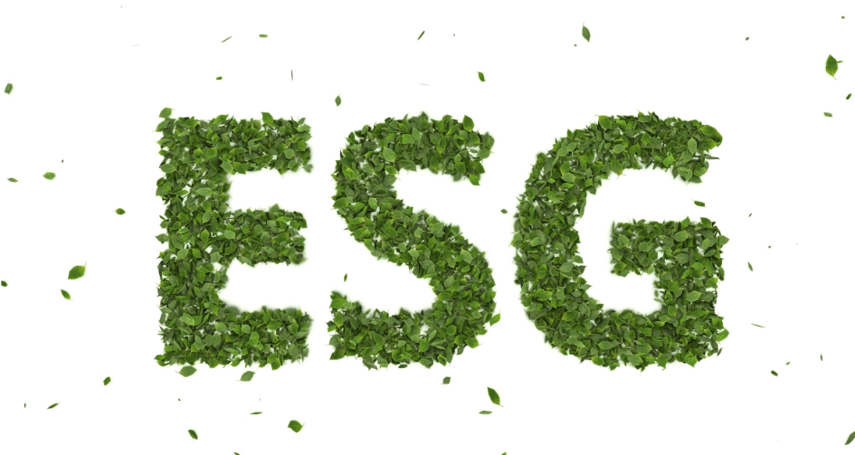 SIC中学生投资挑战,线上模拟交易10万美元PK投资策略报告 SIC中学生投资挑战,线上模拟交易10万美元PK投资策略报告