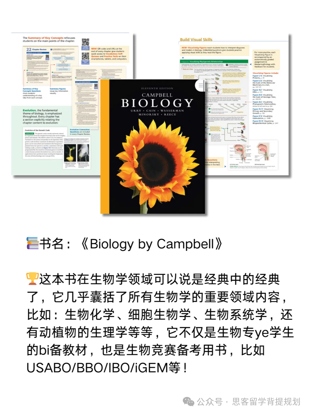 生物顶流竞赛｜美国生物奥赛USABO详解，bio usacn和USABO是什么关系？