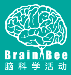 低年级零基础也能参加的Brain bee脑科学竞赛,Brain bee竞赛冲刺组班中~ 低年级零基础也能参加的Brain bee脑科学竞赛,Brain bee竞赛冲刺组班中~