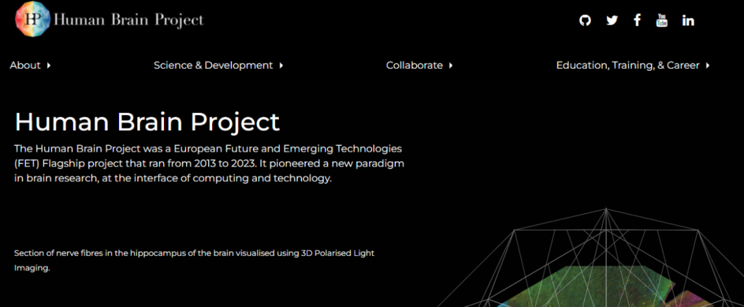 竞赛科普 | Brain Bee 脑科学大赛(生物) 竞赛科普 | Brain Bee 脑科学大赛(生物)