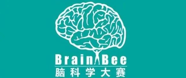 #5年级、零基础也可参加!Brain Bee脑科学大赛含金量高吗?附Brain Bee竞赛培训 #5年级、零基础也可参加!Brain Bee脑科学大赛含金量高吗?附Brain Bee竞赛培训