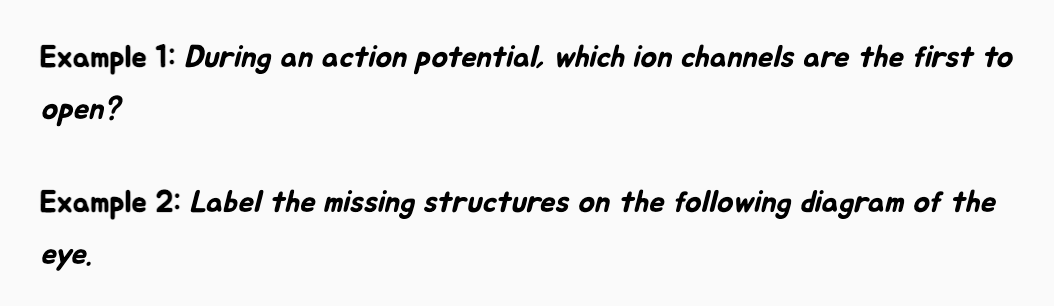 Brain Bee脑科学大赛,全球冠军分享夺冠秘籍,2025赛前全程学习报名倒计时! Brain Bee脑科学大赛,全球冠军分享夺冠秘籍,2025赛前全程学习报名倒计时!
