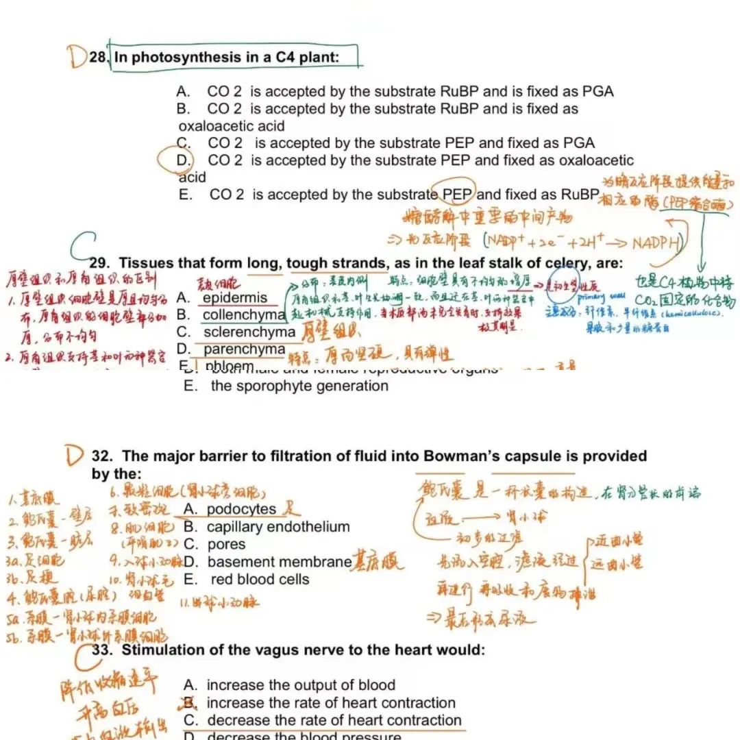 生物竞赛培训课程|BBO&USABO直通车课程热报中 生物竞赛培训课程|BBO&USABO直通车课程热报中