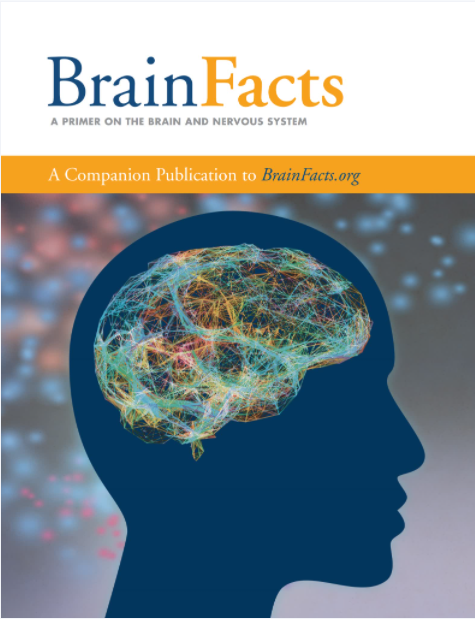 2025年Brain Bee脑科学活动报名已开始，Brain Bee备考教材【可打印】