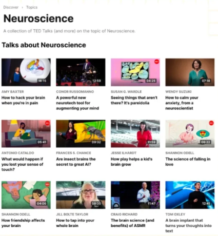 Brain bee脑科学生物竞赛如何备考?备考书籍、网站分享 Brain bee脑科学生物竞赛如何备考?备考书籍、网站分享