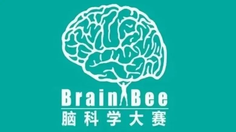 Brain bee脑科学竞赛参赛价值及备考内容盘点!初中生入门生物竞赛必备~ Brain bee脑科学竞赛参赛价值及备考内容盘点!初中生入门生物竞赛必备~