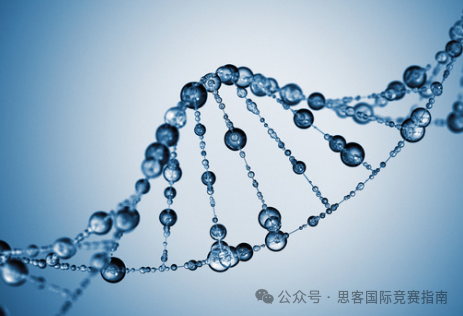 2025年USABO竞赛考纲有哪些新变化？附USABO竞赛历年真题+课程培训！