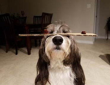 科普|竞赛|AAPT Photo美国高中物理摄影挑战活动投稿倒计时! 科普|竞赛|AAPT Photo美国高中物理摄影挑战活动投稿倒计时!