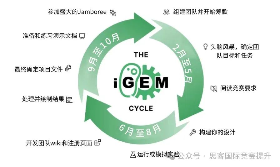 iGEM为什么被称为全科皆可参与的万金油竞赛?如何高效备赛iGEM? iGEM为什么被称为全科皆可参与的万金油竞赛?如何高效备赛iGEM?