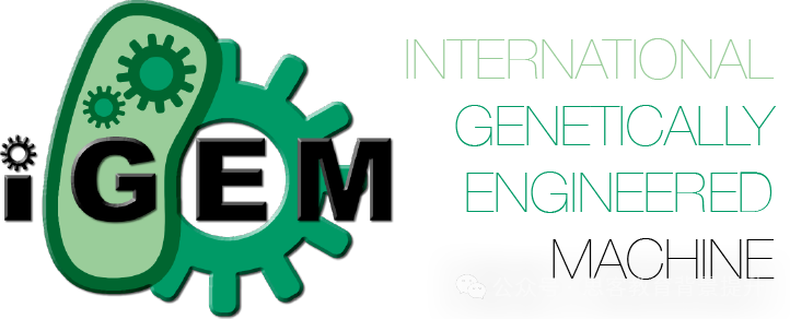 2025iGEM国际基因工程机器大赛保姆级备考指南!附IGEM备考资料 2025iGEM国际基因工程机器大赛保姆级备考指南!附IGEM备考资料