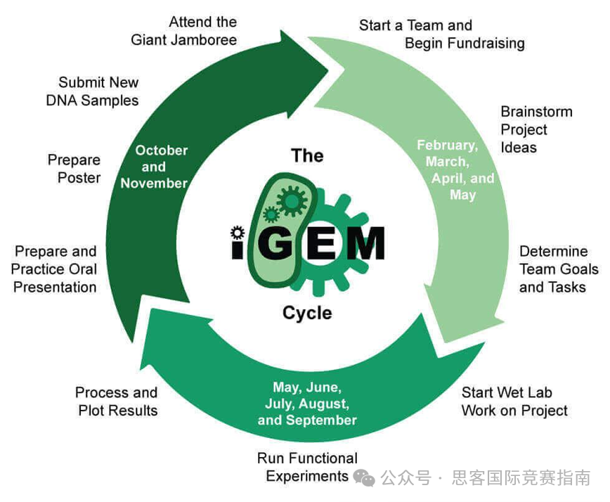 2024iGEM竞赛结果公布!iGEM新赛季备战指南! 2024iGEM竞赛结果公布!iGEM新赛季备战指南!