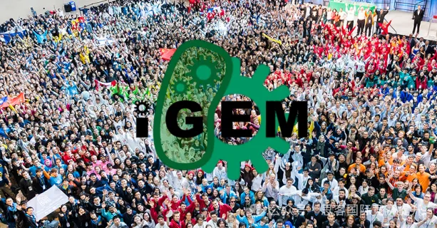 iGEM竞赛正式落下帷幕！竞赛天花板iGEM2025应该如何入门？一文看懂！