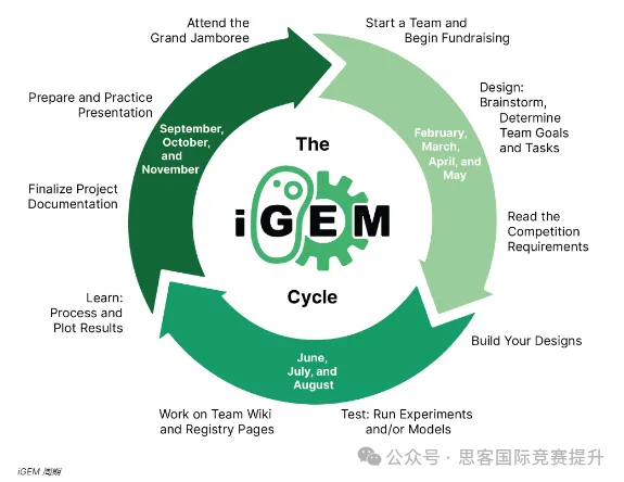 iGEM竞赛正式落下帷幕！竞赛天花板iGEM2025应该如何入门？一文看懂！