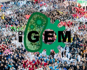 iGEM竞赛正式落下帷幕！竞赛天花板iGEM2025应该如何入门？一文看懂！
