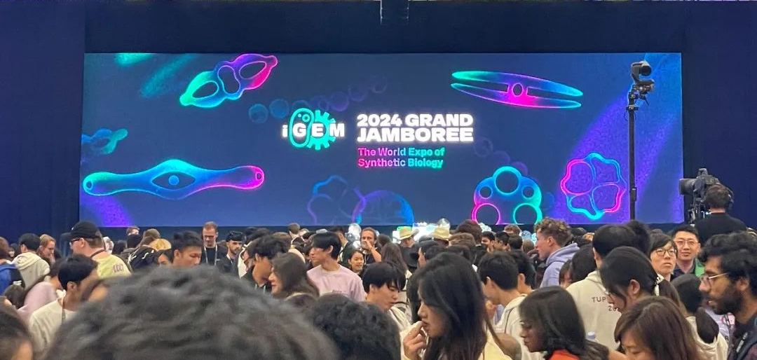 2024年igem竞赛数据分析，igem比赛金/银/铜奖难度标准什么？含金量有多大？
