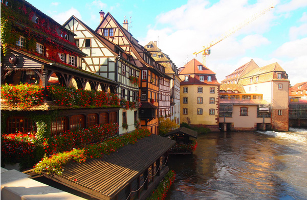 移民，就移法国，福利太好了！