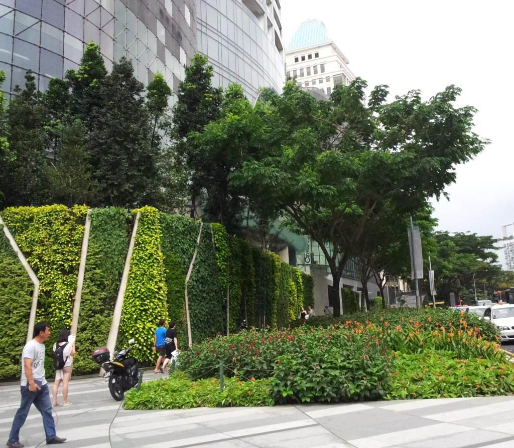 外国治霾有一套，中国学生新出路