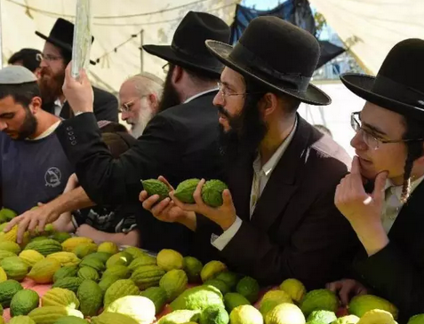 1496716203503463.png 犹太人是如何教育子女的?惊醒世人!