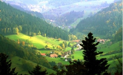 给你10座德国最美森林，无论是海滩森林还是冰与火之歌的雾林全部在内！