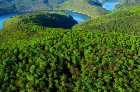 给你10座德国最美森林，无论是海滩森林还是冰与火之歌的雾林全部在内！