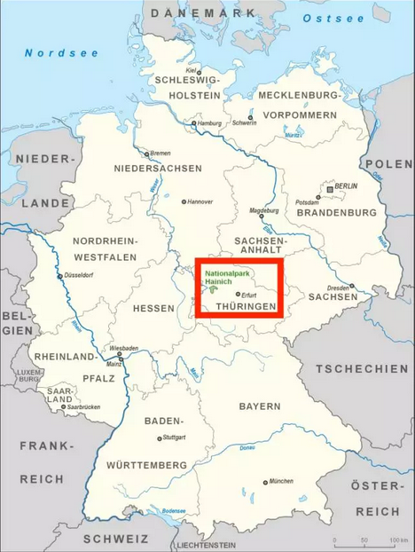 给你10座德国最美森林，无论是海滩森林还是冰与火之歌的雾林全部在内！