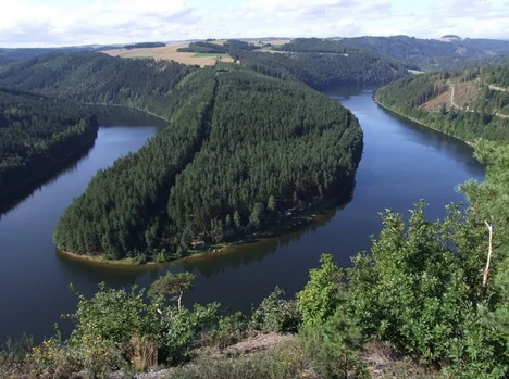 给你10座德国最美森林，无论是海滩森林还是冰与火之歌的雾林全部在内！